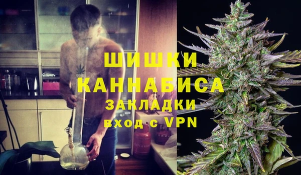 дживик Балахна