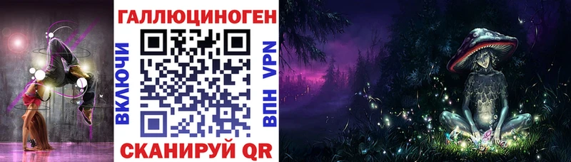 магазин продажи Сосновоборск Псилоцибиновые грибы Cubensis
