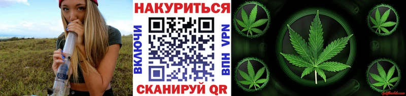 закладки  Сосновоборск  Конопля Bruce Banner 